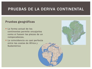 PRUEBAS DE LA DERIVA CONTINENTAL
Pruebas geográficas
 La forma actual de los
continentes permite encajarlos
como si fuesen las piezas de un
rompecabezas.
 La coincidencia es casi perfecta
entre las costas de África y
Sudamérica
 