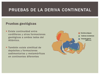 PRUEBAS DE LA DERIVA CONTINENTAL
Pruebas geológicas
 Existe continuidad entre
cordilleras y otras formaciones
geológicas a ambos lados del
Atlántico.
 También existe similitud de
depósitos y formaciones
sedimentarias y metamórficas
en continentes diferentes
Granitos antiguos
Cadenas montañosas
Casquete glaciar
(300 m.a.)
 
