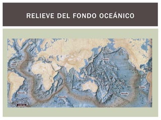 RELIEVE DEL FONDO OCEÁNICO
 