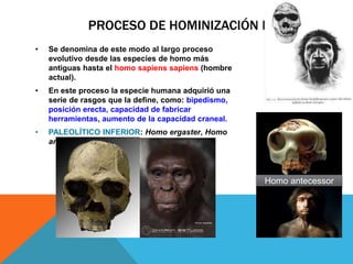 PROCESO DE HOMINIZACIÓN I
• Se denomina de este modo al largo proceso
evolutivo desde las especies de homo más
antiguas hasta el homo sapiens sapiens (hombre
actual).
• En este proceso la especie humana adquirió una
serie de rasgos que la define, como: bipedismo,
posición erecta, capacidad de fabricar
herramientas, aumento de la capacidad craneal.
• PALEOLÍTICO INFERIOR: Homo ergaster, Homo
antecessor y Homo heidelbergensis.
Homo antecessor
 