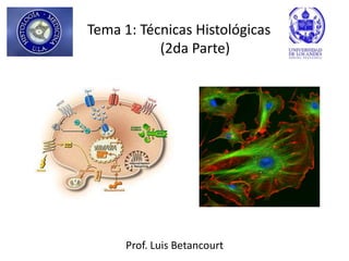 Tema 1: Técnicas Histológicas (2da Parte) Prof. Luis Betancourt 