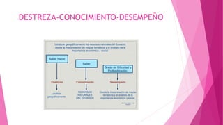 DESTREZA-CONOCIMIENTO-DESEMPEÑO