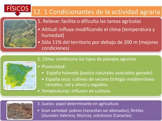 12. 1 Condicionantes de la actividad agraria
1. Relieve: facilita o dificulta las tareas agrícolas
• Altitud: influye modi...