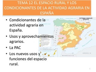 TEMA 12 EL ESPACIO RURAL Y LOS
CONDICIONANTES DE LA ACTIVIDAD AGRARIA EN
ESPAÑA
• Condicionantes de la
actividad agraria en
España.
• Usos y aprovechamientos
agrarios.
• La PAC
• Los nuevos usos y
funciones del espacio
rural.
1
 