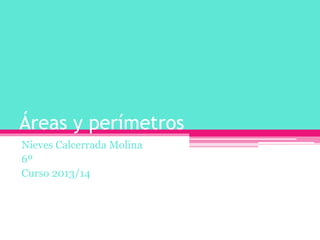 Áreas y perímetros
Nieves Calcerrada Molina
6º
Curso 2013/14
 