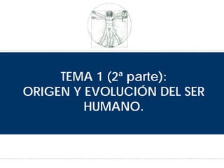 TEMA 1 (2ª parte):
ORIGEN Y EVOLUCIÓN DEL SER
HUMANO.
 