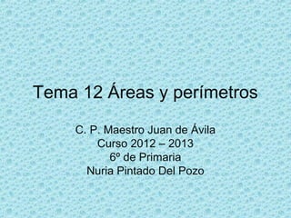 Tema 12 Áreas y perímetros
C. P. Maestro Juan de Ávila
Curso 2012 – 2013
6º de Primaria
Nuria Pintado Del Pozo
 