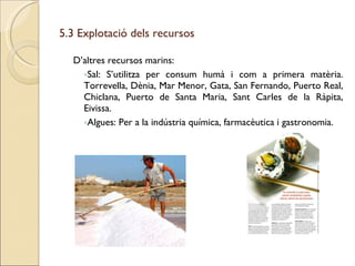 5.3 Explotació dels recursos D’altres recursos marins: Sal: S’utilitza per consum humà i com a primera matèria. Torrevella, Dènia, Mar Menor, Gata, San Fernando, Puerto Real, Chiclana, Puerto de Santa Maria, Sant Carles de la Ràpita, Eivissa. Algues: Per a la indústria química, farmacèutica i gastronomia. 