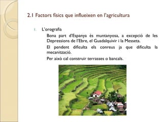 2.1 Factors físics que influeixen en l’agricultura L’orografia Bona part d’Espanya és muntanyosa, a excepció de les Depressions de l’Ebre, el Guadalquivir i la Messeta. El pendent dificulta els conreus ja que dificulta la mecanització. Per això cal construir terrasses o bancals. 