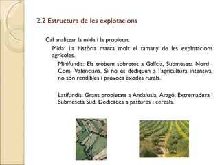 2.2 Estructura de les explotacions <ul><li>Cal analitzar la mida i la propietat. </li></ul><ul><ul><li>Mida: La història m...