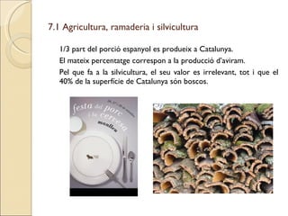 7.1 Agricultura, ramaderia i silvicultura <ul><li>1/3 part del porció espanyol es produeix a Catalunya. </li></ul><ul><li>...