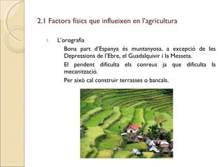 2.1 Factors físics que influeixen en l’agricultura <ul><li>L’orografia </li></ul><ul><ul><ul><ul><li>Bona part d’Espanya é...