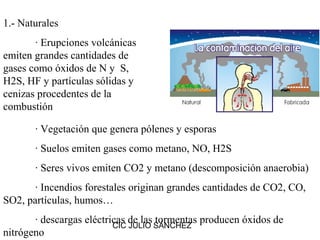 1.- Naturales
       · Erupciones volcánicas
emiten grandes cantidades de
gases como óxidos de N y S,
H2S, HF y partículas sólidas y
cenizas procedentes de la
combustión

       · Vegetación que genera pólenes y esporas
       · Suelos emiten gases como metano, NO, H2S
       · Seres vivos emiten CO2 y metano (descomposición anaerobia)
       · Incendios forestales originan grandes cantidades de CO2, CO,
SO2, partículas, humos…
       · descargas eléctricas de las SÁNCHEZ producen óxidos de
                          CIC JULIO
                                     tormentas
nitrógeno
 