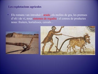 Les explotacions agrícoles
• Els romans van introduir l’arada, els molins de gra, les premses
d’oli i de vi, nous sistemes de regadiu i el conreu de productes
nous: fruiters, hortalisses, cereals...

 