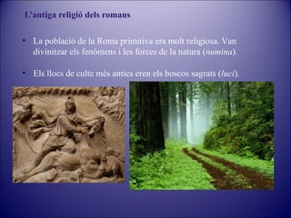 L’antiga religió dels romans
• La població de la Roma primitiva era molt religiosa. Van
divinitzar els fenòmens i les forces de la natura (numina).
• Els llocs de culte més antics eren els boscos sagrats (luci).

 