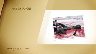 NOVO ESTUDO DO APOCALIPSE: TEMA 13 | As Sete Ultimas Pragas