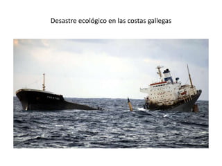 Desastre ecológico en las costas gallegas
 