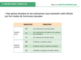 Mendelismo complejo
Herencia codominante
Alelos codominantes A1 = A2
(grupos ABO y color rosas)
P: A1A1 x A2A2
G: 1 A1 1 A...