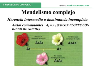 Mendelismo complejo
Herencia multialélica: 3 o más alelos por gen
Ej. (grupos del sistema ABO)
IAIA : grupo A
IAi : grupo ...