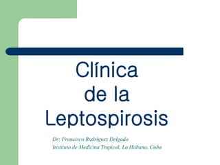 Clínica
de la
Leptospirosis
Dr: Francisco Rodríguez Delgado
Instituto de Medicina Tropical, La Habana, Cuba
 