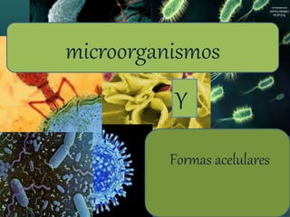 Formas acelulares
microorganismos
Y
 