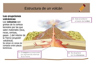 Estructura de un volcán
Las erupciones
volcánicas
Los volcanes son
grietas de la corteza
terrestre por las que
salen materiales (lava,
rocas, cenizas,
gases…) del interior de
la Tierra (erupción
volcánica).
Se sitúan en zonas de
contacto entre placas
tectónicas.
 