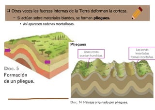  Otras veces las fuerzas internas de la Tierra deforman la corteza.
– Si actúan sobre materiales blandos, se forman pliegues.
• Así aparecen cadenas montañosas.
 