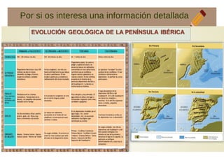 Por si os interesa una información detallada
 