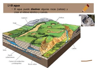  El agua
– El agua puede disolver algunas rocas (calizas) y
crear el relieve kárstico y cuevas.
 