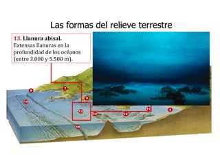 13. Llanura abisal.
Extensas llanuras en la
profundidad de los océanos
(entre 3.000 y 5.500 m).
Las formas del relieve terrestre
 