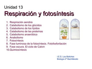 Unidad 13

Respiración y fotosíntesis
1. Respiración aerobia
2. Catabolismo de los glúcidos
3. Catabolismo de los lípidos
...