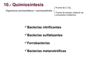 10.- Quimiosíntesis
Organismos quimiosintéticos = quimioautótrofos

•Fuente de C: CO2
•Fuente de energía: oxidación de
com...
