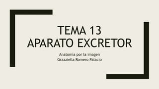 TEMA 13
APARATO EXCRETOR
Anatomía por la imagen
Grazziella Romero Palacio
 