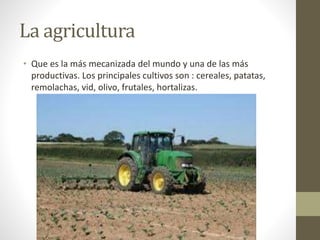 La agricultura
• Que es la más mecanizada del mundo y una de las más
productivas. Los principales cultivos son : cereales, patatas,
remolachas, vid, olivo, frutales, hortalizas.
 