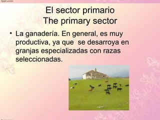 El sector primario
          The primary sector
• La ganadería. En general, es muy
  productiva, ya que se desarroya en
  granjas especializadas con razas
  seleccionadas.
 