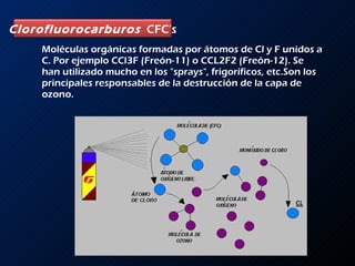 Moléculas orgánicas formadas por átomos de Cl y F unidos a C. Por ejemplo CCl3F (Freón-11) o CCL2F2 (Freón-12). Se han utilizado mucho en los &quot;sprays&quot;, frigoríficos, etc.Son los principales responsables de la destrucción de la capa de ozono.   Clorofluorocarburos   CFC’s 