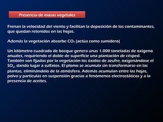 Frenan la velocidad del viento y facilitan la deposición de los contaminantes, que quedan retenidos en las hojas.  Además la vegetación absorbe CO 2  (actúa como sumidero) Un kilómetro cuadrado de bosque genera unas 1.000 toneladas de oxígeno anuales, requiriendo el doble de superficie una plantación de césped. También son fijados por la vegetación los óxidos de azufre, oxigenándose el SO 2 , dando lugar a sulfatos. El plomo se acumula sin transformarse en las plantas, eliminándolo de la atmósfera. Además acumulan entre las hojas, polvo y partículas en suspensión gracias a fenómenos electrostáticos y a la presencia de aceites. Presencia de masas vegetales 
