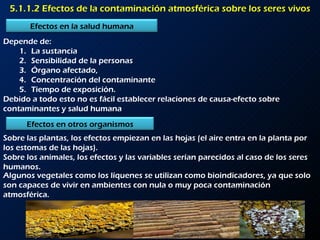 5.1.1.2 Efectos de la contaminación atmosférica sobre los seres vivos Depende de: La sustancia Sensibilidad de la personas Órgano afectado,  Concentración del contaminante Tiempo de exposición. Debido a todo esto no es fácil establecer relaciones de causa-efecto sobre contaminantes y salud humana Sobre las plantas, los efectos empiezan en las hojas (el aire entra en la planta por los estomas de las hojas). Sobre los animales, los efectos y las variables serían parecidos al caso de los seres humanos. Algunos vegetales como los líquenes se utilizan como bioindicadores, ya que solo son capaces de vivir en ambientes con nula o muy poca contaminación atmosférica. Efectos en la salud humana Efectos en otros organismos 