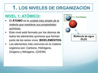 TEMA 1 ORGANIZACIÓN CUERPO HUMANO 1parte.pptx