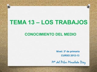 TEMA 13 – LOS TRABAJOS
    CONOCIMIENTO DEL MEDIO



                  Nivel: 3º de primaria
                      CURSO 2012-13

               Mª del Pilar Moraleda Díaz
 