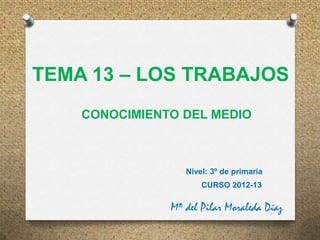 TEMA 13 – LOS TRABAJOS
    CONOCIMIENTO DEL MEDIO



                  Nivel: 3º de primaria
                      CURSO 2...