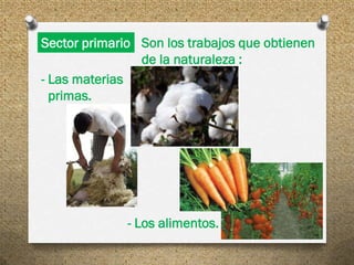 Sector primario Son los trabajos que obtienen
                de la naturaleza :
- Las materias
  primas.




            ...