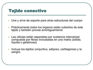 Tejido conectivo
⚫ Une y sirve de soporte para otras estructuras del cuerpo
⚫ Prácticamente todos los órganos están cubiertos de este
tejido y también provee amortiguamiento
⚫ Las células están separadas por sustancia intercelular
compuesta por fibras incrustadas en una matriz (sólida,
líquida o gelatinosa)
⚫ Incluye los tejidos conjuntivo, adiposo, cartilaginoso y la
sangre.
 