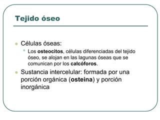 Tejido óseo
⚫ Células óseas:
• Los osteocitos, células diferenciadas del tejido
óseo, se alojan en las lagunas óseas que se
comunican por los calcóforos.
⚫ Sustancia intercelular: formada por una
porción orgánica (osteina) y porción
inorgánica
 