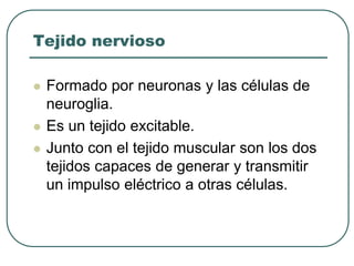 Tejido nervioso
⚫ Formado por neuronas y las células de
neuroglia.
⚫ Es un tejido excitable.
⚫ Junto con el tejido muscular son los dos
tejidos capaces de generar y transmitir
un impulso eléctrico a otras células.
 