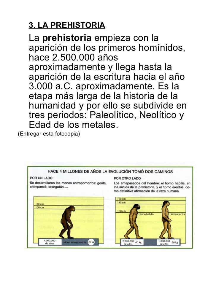 Tema 13 prehistoria