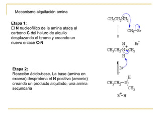 Mecanismo alquilación amina

Etapa 1:
El N nucleofílico de la amina ataca al
carbono C del haluro de alquilo
desplazando el bromo y creando un
nuevo enlace C-N




Etapa 2:
Reacción ácido-base. La base (amina en
exceso) desprotona el N positivo (amonio)
creando un producto alquilado, una amina
secundaria
 