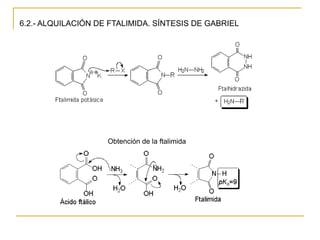 6.2.- ALQUILACIÓN DE FTALIMIDA. SÍNTESIS DE GABRIEL




                    Obtención de la ftalimida
 