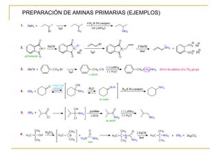 PREPARACIÓN DE AMINAS PRIMARIAS (EJEMPLOS)
 