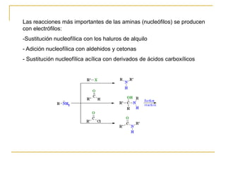 Las reacciones más importantes de las aminas (nucleófilos) se producen
con electrófilos:
-Sustitución nucleofílica con los haluros de alquilo
- Adición nucleofílica con aldehidos y cetonas
- Sustitución nucleofílica acílica con derivados de ácidos carboxílicos
 